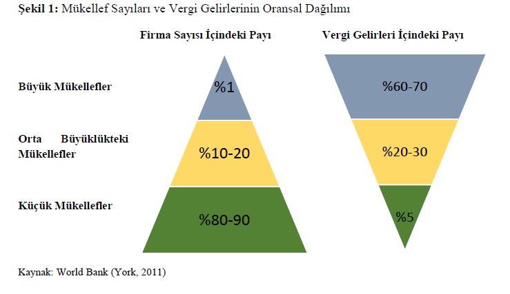 mukellef-buyuklugu-firma-sayisi-vergidosyisi