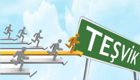 ULUSLARARASI AMPİRİK ÇALIŞMALAR IŞIĞINDA VERGİ TEŞVİKLERİNİN&nbsp;ETKİNLİĞİ