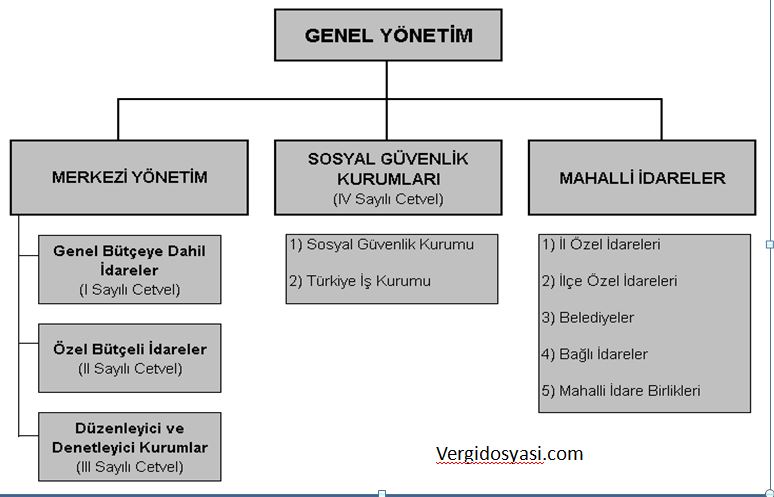 genel yönetim bütçe türleri