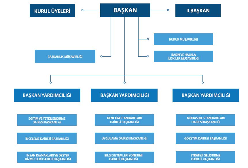 kamu gözetim kurumu teşkilat şeması kgk.JPG