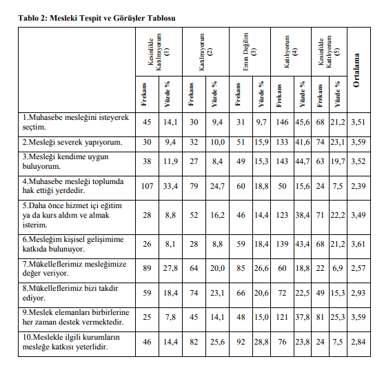 yardımcı muhasebe meslek elemanları tatmin düzeyi