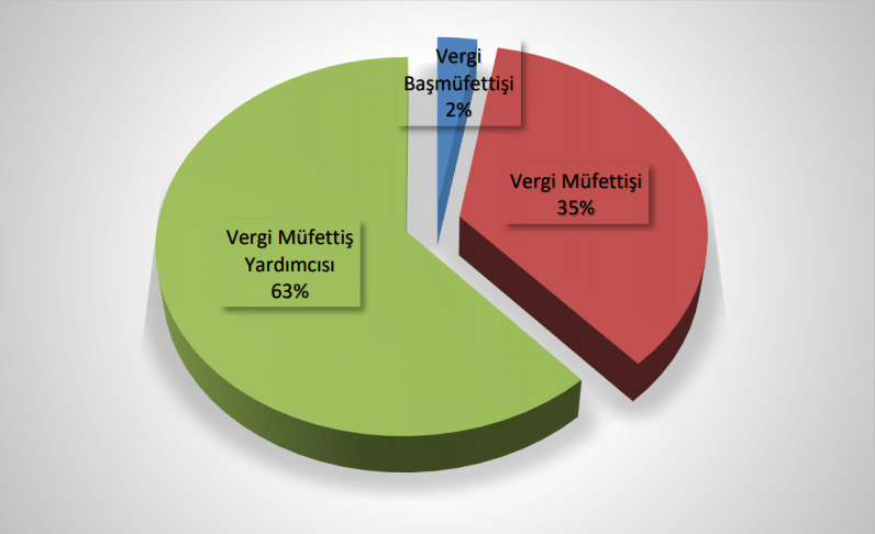 vergi müfettişlerinin unvanlara göre yüzde dağılımı.PNG
