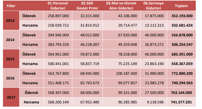 vergi denetim kurulu bütçe harcamaları vergi inceleme maliyeti