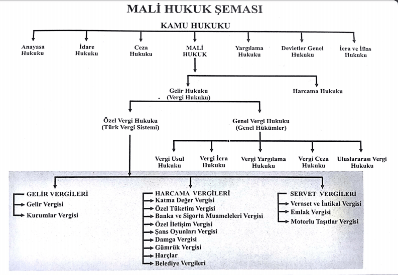 Mali Hukuk Şeması