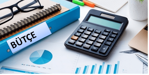 Vergi İdaresi Vergi Gelirlerini Ne Kadar Gerçekçi Tahmin&nbsp;Edebiliyor?