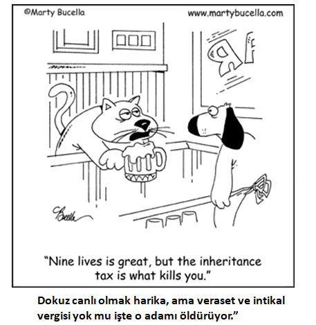 mali mizah dokuz canlı olmak harika ama veraset ve intikal vergisi