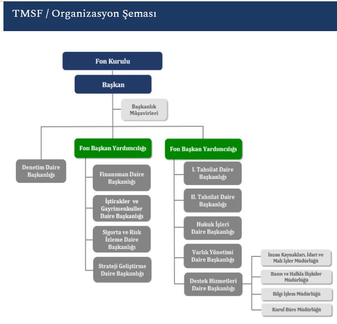 TMSF Organizasyon şeması