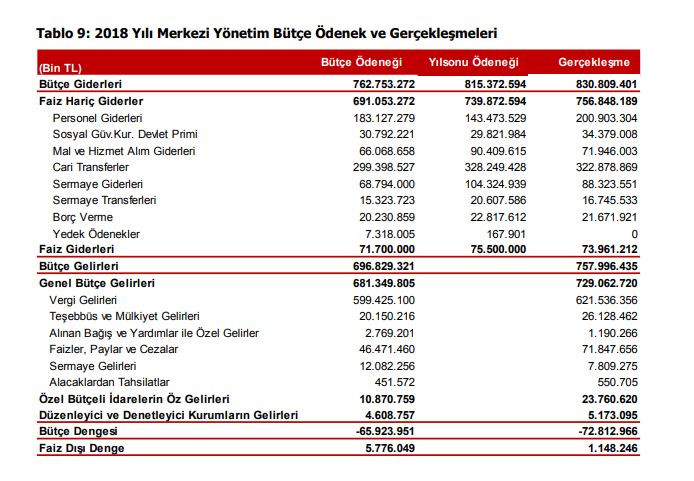 2018 yılı merkezi yönetim ödenek ve gerçekleşme rakamları.JPG