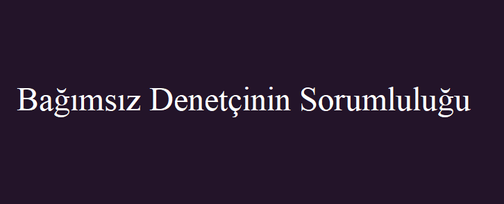 Bağımsız Denetçinin Sorumluluğu