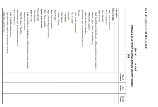 BOBİ FİNANSAL DURUM TABLOSU EK 1 - 1