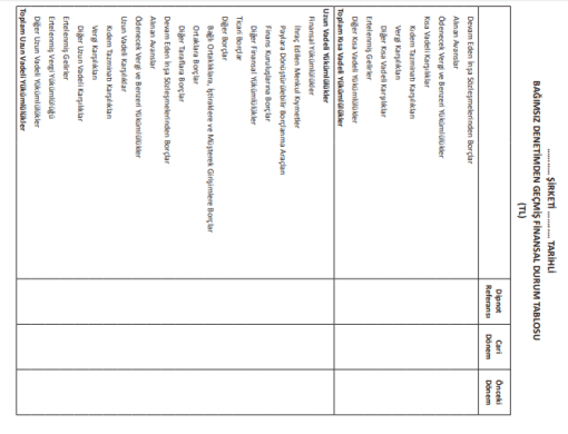 BOBİ FİNANSAL DURUM TABLOSU EK 1 - 3